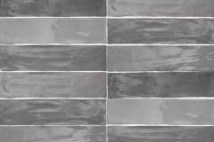 Cool-Gray-1