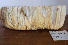 Petrified-Wood-2