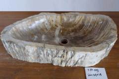 Petrified-Wood-6