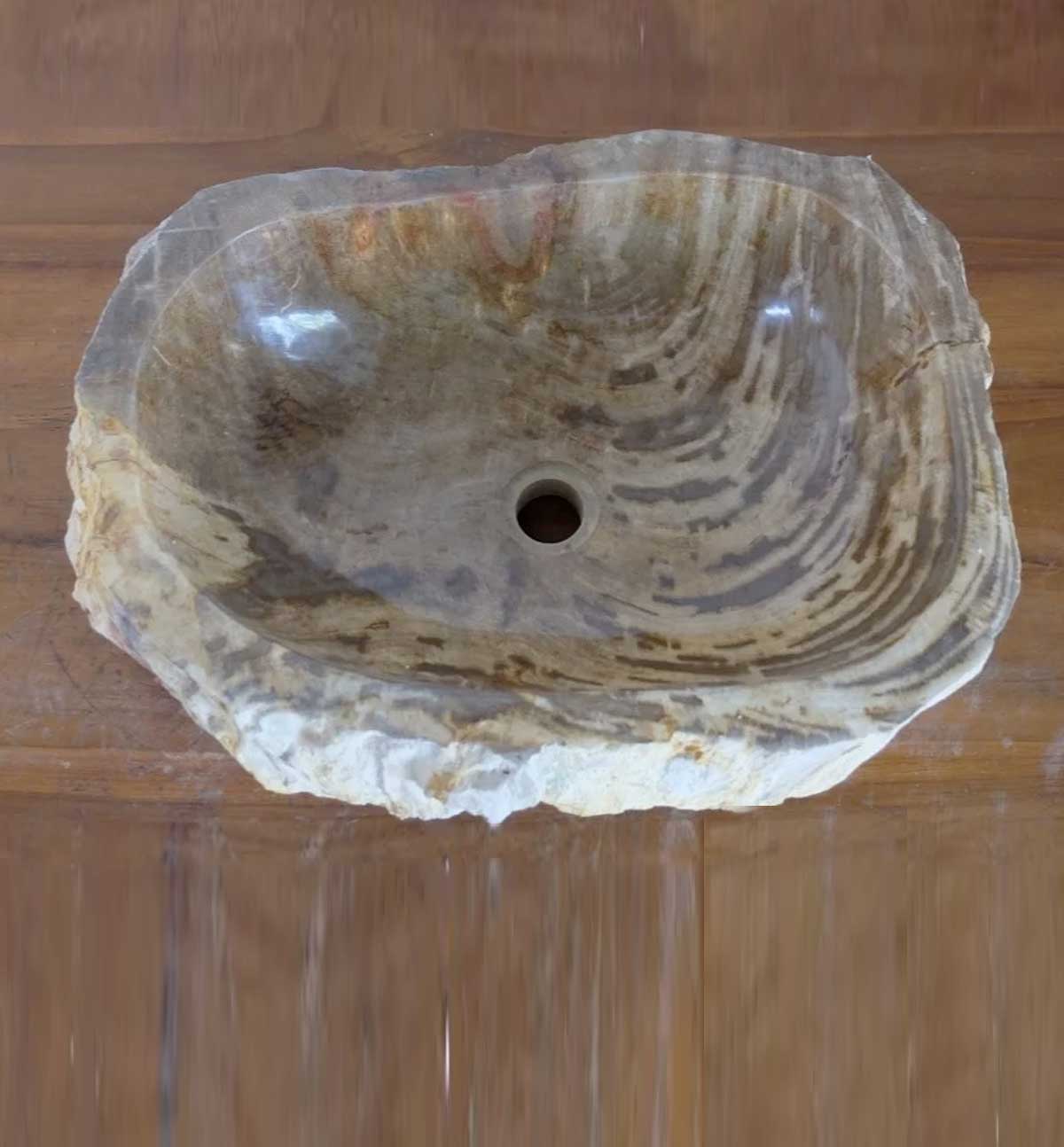 Petrified Wood Sink
