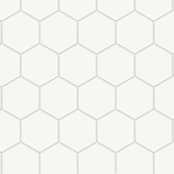 2” Hexagon Canvas White 2” Hexagon Canvas White